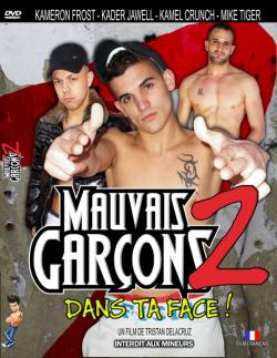 Mauvais Garons 2 :  Dans Ta Face! - DVD France