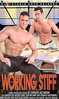 Working Stiff - DVD Studio 2000