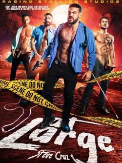 At Large - DVD Raging Stallion