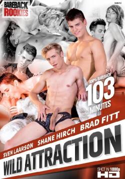 Wild Attraction - DVD Bareback Rookies