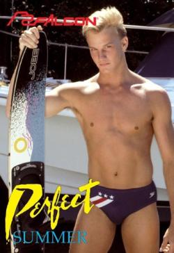 Perfect Summer - DVD Falcon