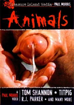 Animals - DVD Treasure Island