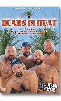 Click to see product infos- Bears in Heat - DVD BearFilms