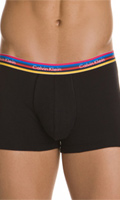 Click to see product infos- Boxer  Calvin Klein - Black/Multicolour - Size S