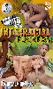 Click to see product infos- Interracial Fuckers Box - Box 6 DVD Staxus (Bareback Monster Cocks)