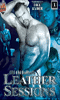 Click to see product infos- Leather Sessions - DVD Channel 1